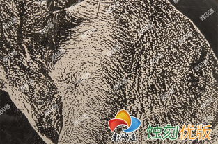 【數(shù)印通pl-90a平板打印機(jī)不銹鋼蝕刻掩膜打印機(jī)uv打印機(jī)標(biāo)牌耐腐蝕層打印機(jī)】-